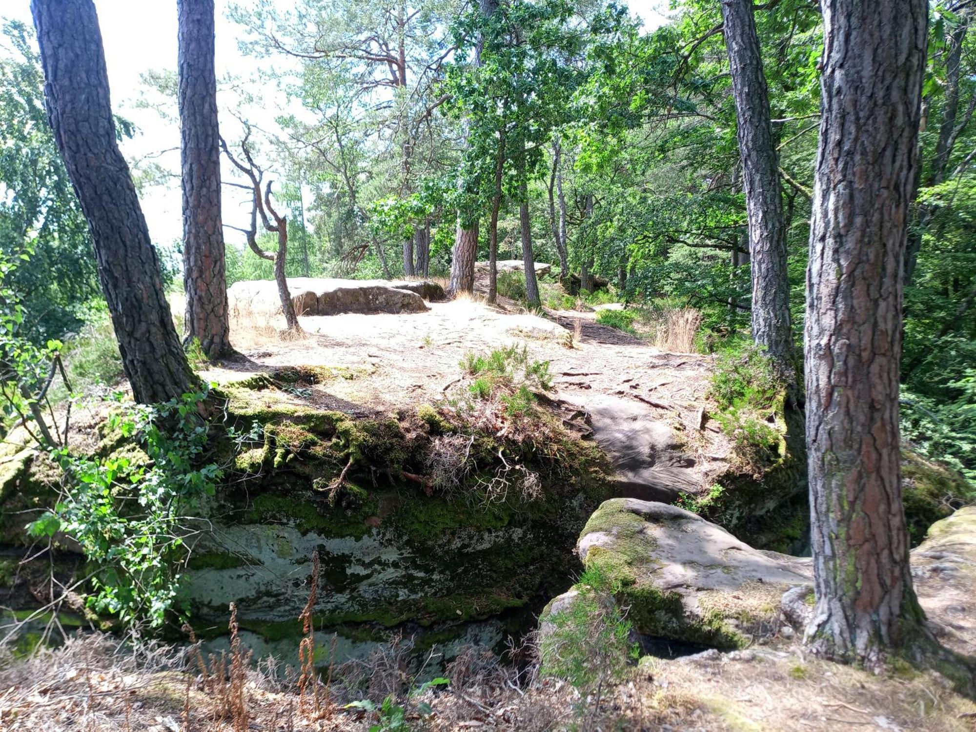 Zimmer Mit Sauna Und Kochgelegenheit Rott Exterior foto